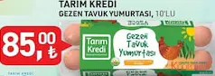 TARIM KREDİ GEZEN TAVUK YUMURTASI 10'LU